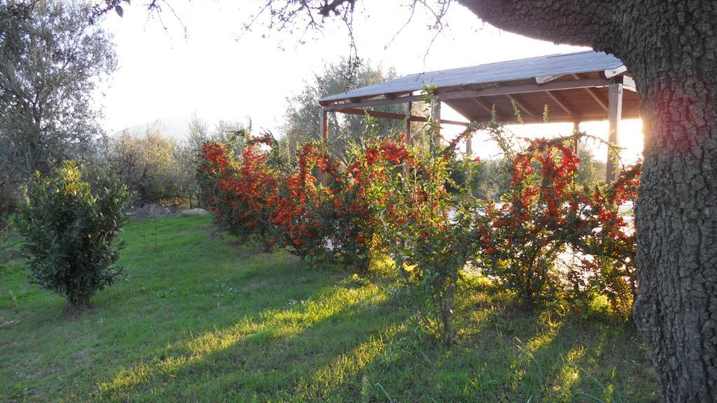Maria Caderina Green Village Посада Экстерьер фото